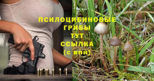 МДПВ Алексеевка