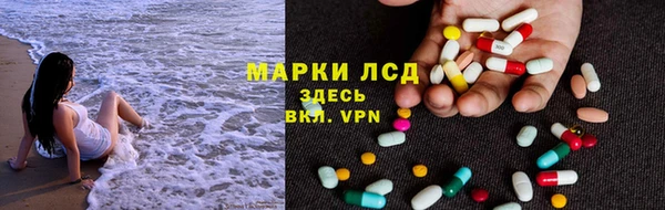 apvp Алзамай