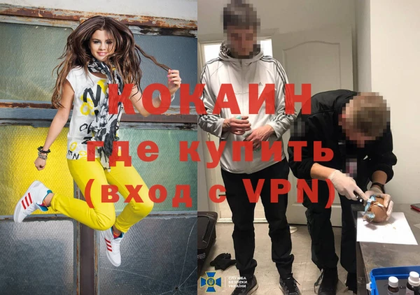 apvp Алзамай